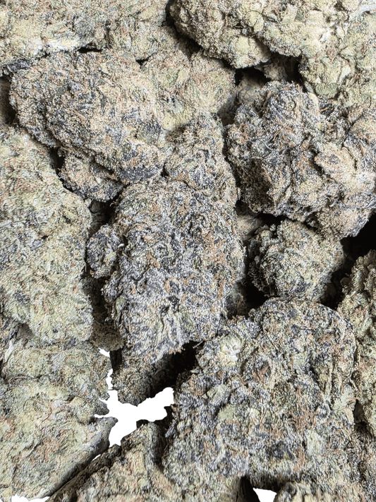 Close-up of flower with a textured surface.