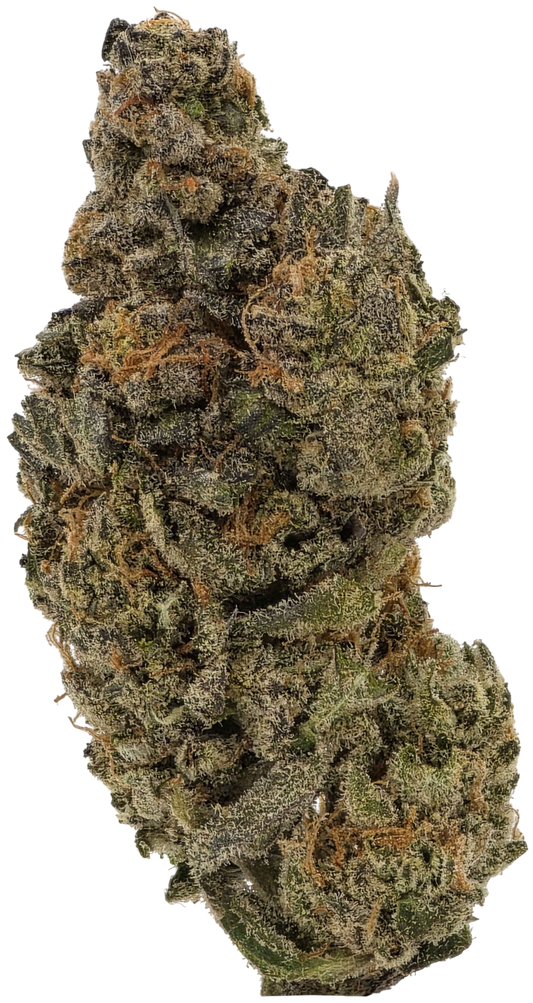 Daywalker Diesel - 7g