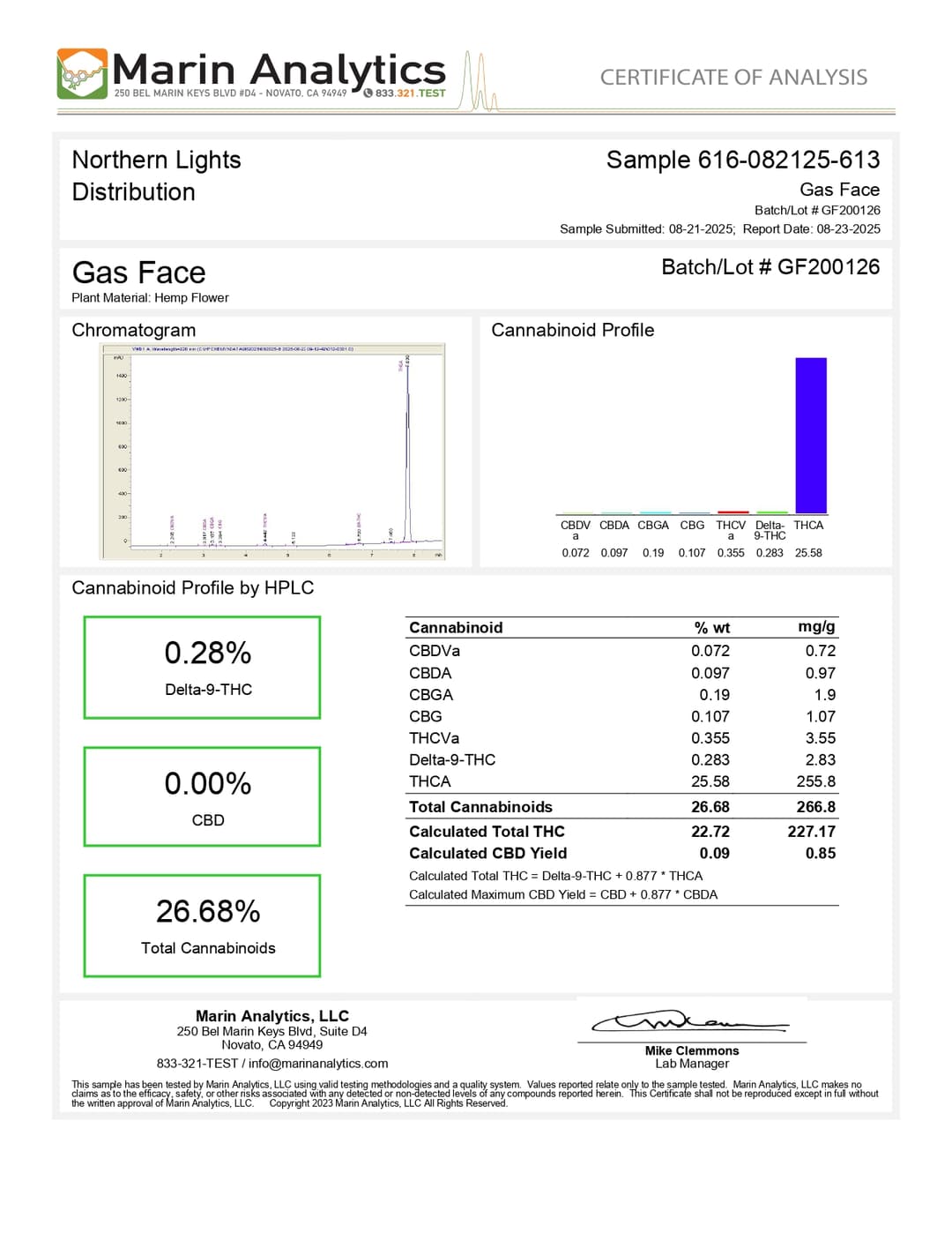 Gas Face Lab Report