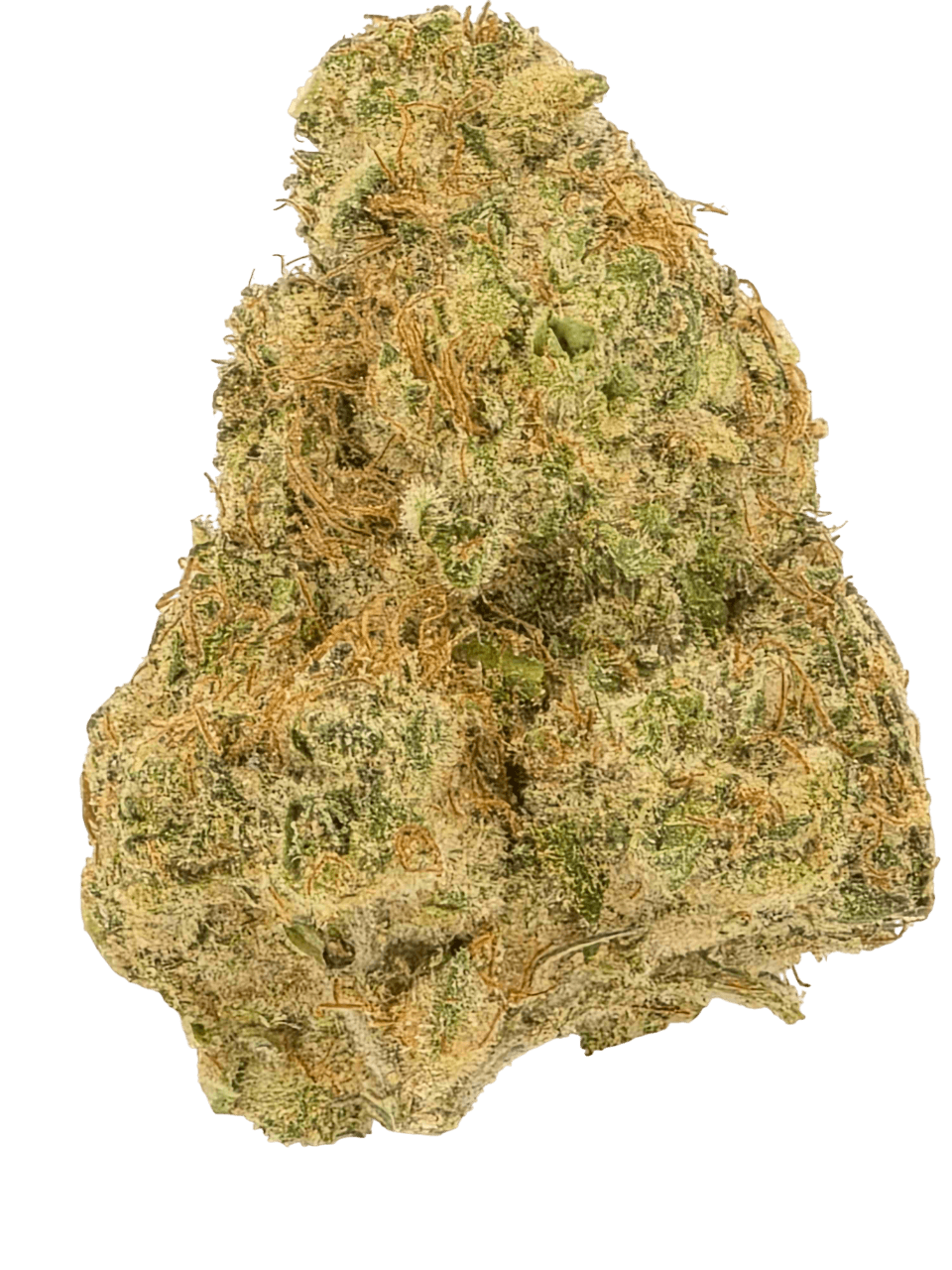 Blue Lobster (Limited Exotic) - 7g