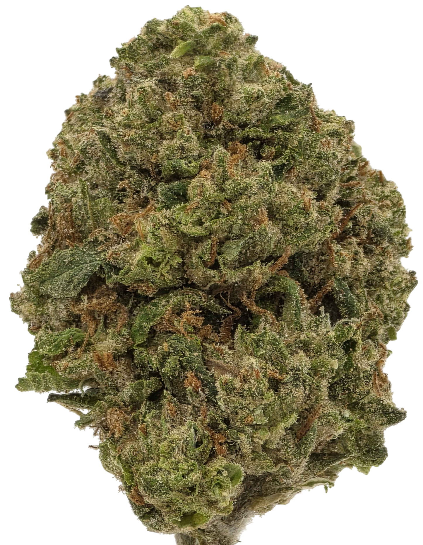 Candy Cane - 7g