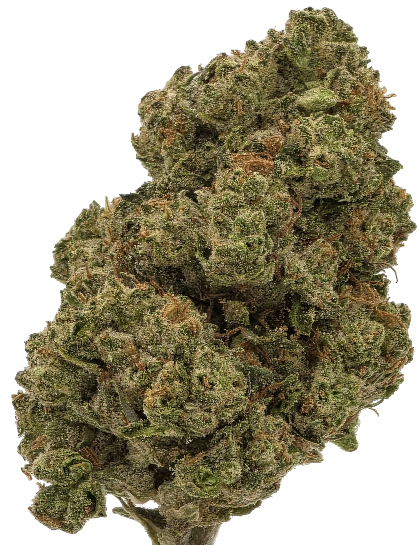 Candy Cane - 7g