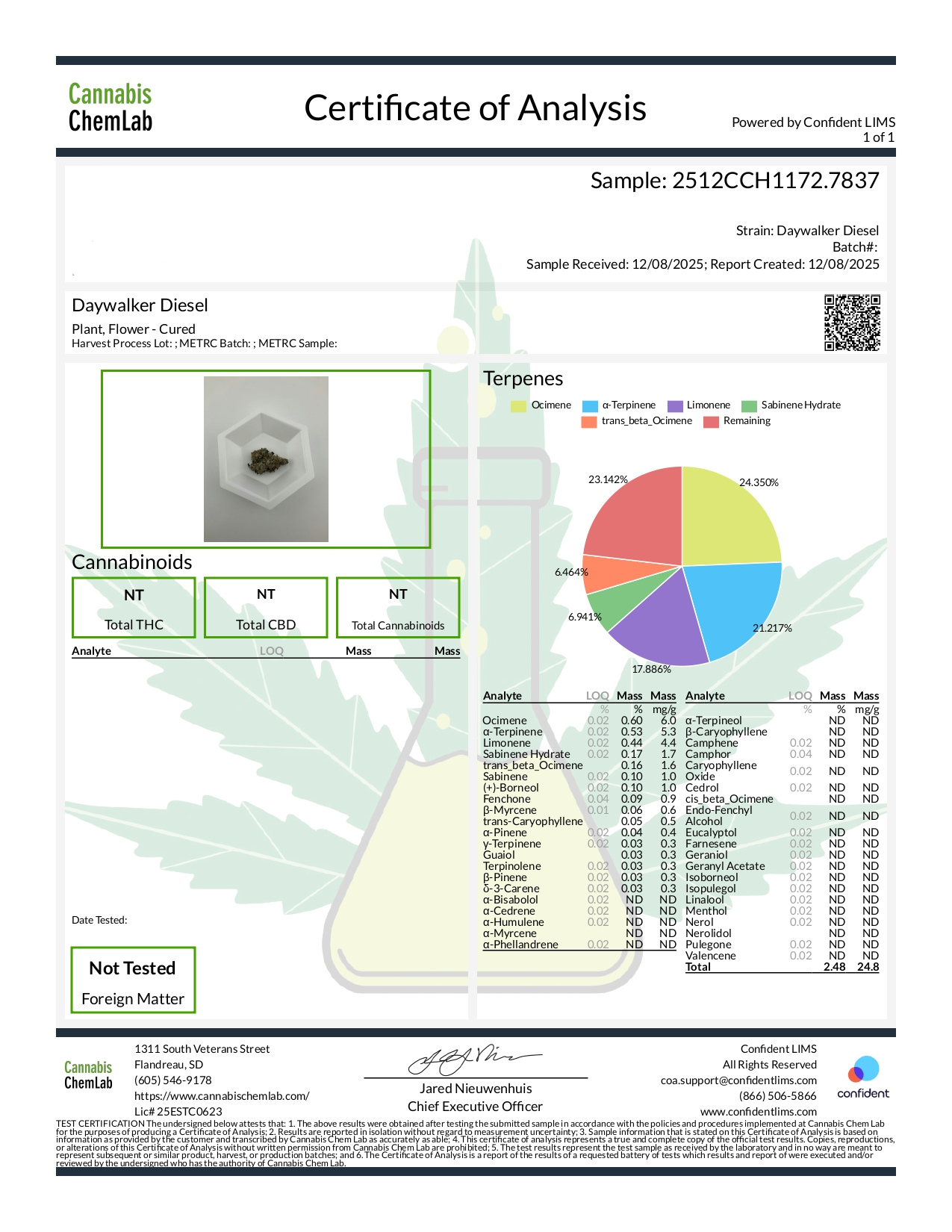 Daywalker Diesel - 7g
