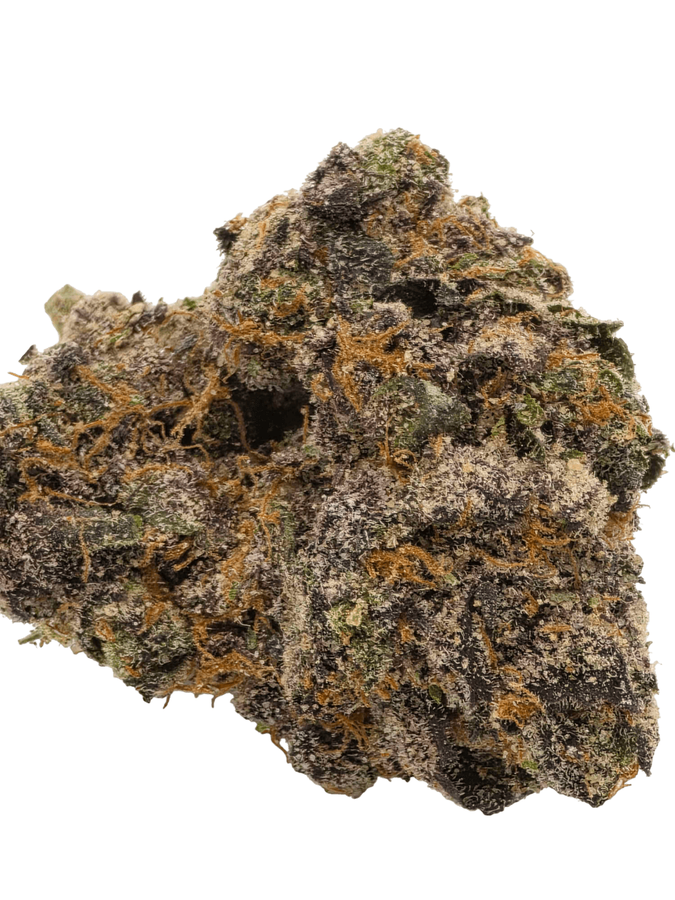 Gas Face flower 