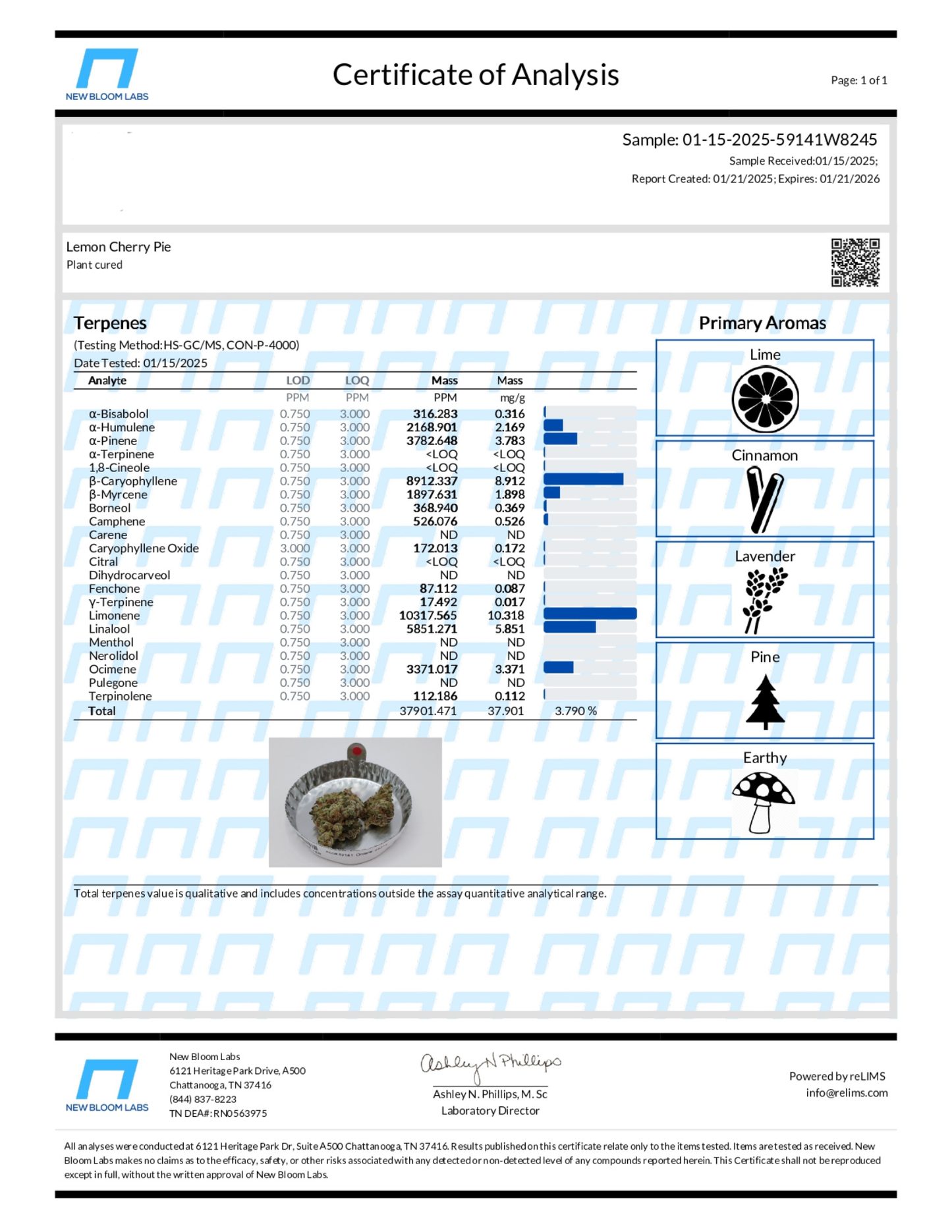 Lemon Cherry Pie - 7g