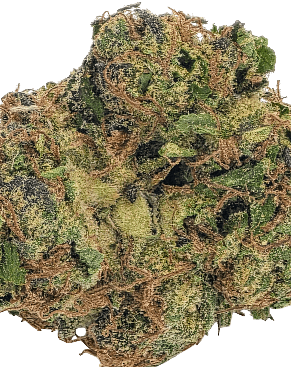 Tangerine Dream - 7g